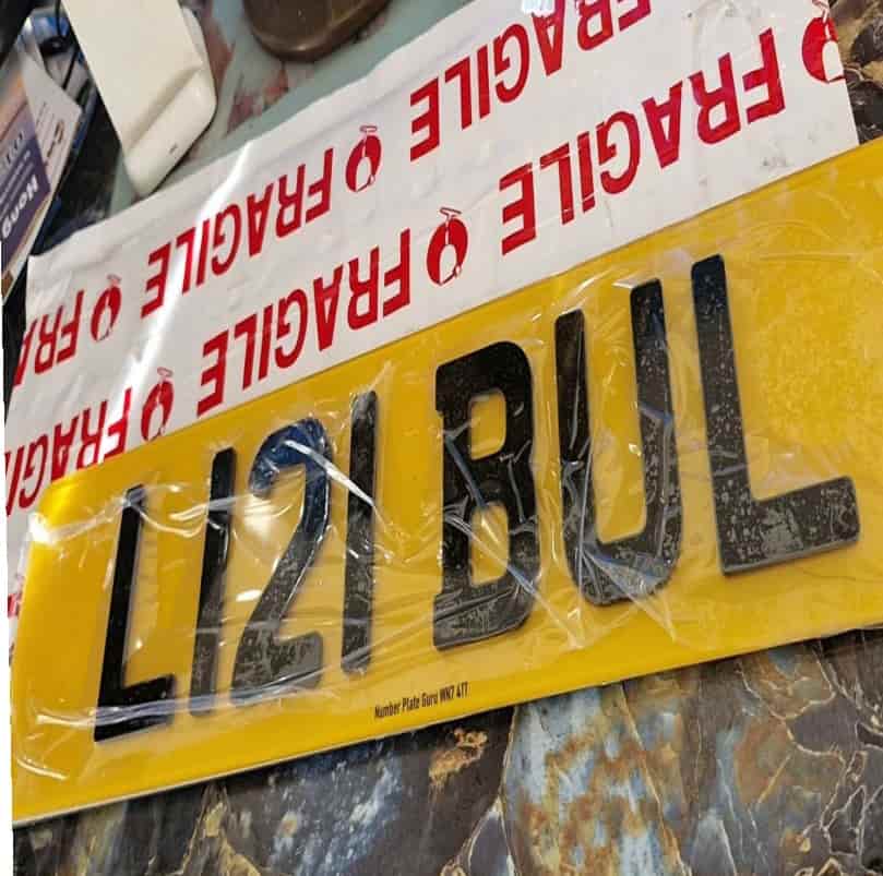 kreedandbossbulldogs